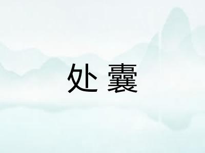处囊