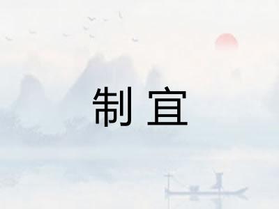 制宜 制宜