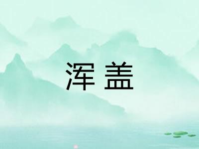 浑盖