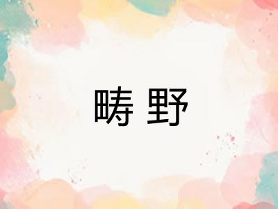 畴野 畴野