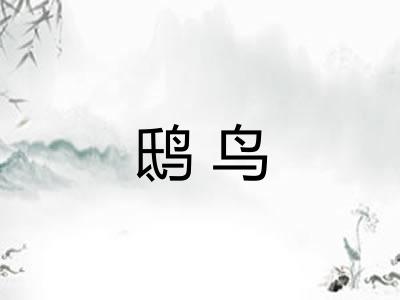 鸱鸟 鸱鸟
