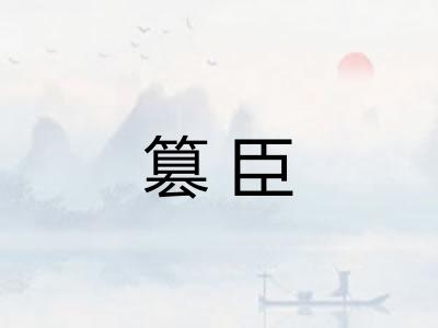 篡臣 篡臣