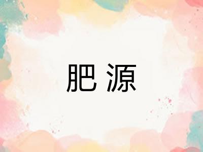肥源 肥源