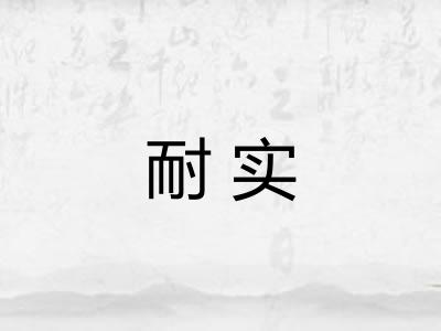 耐实