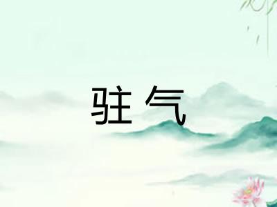 驻气