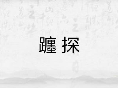 躔探