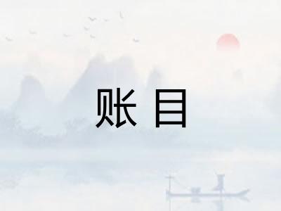 账目 账目