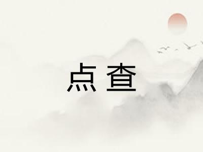 点查