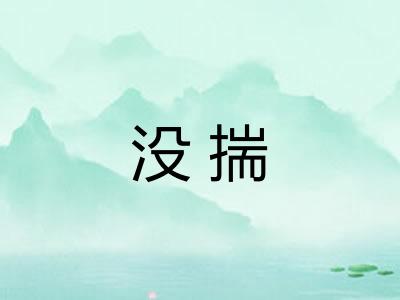 没揣