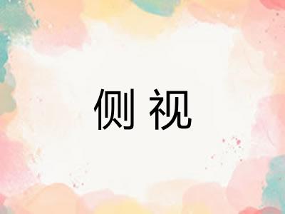 侧视