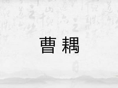 曹耦
