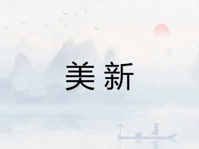 美新