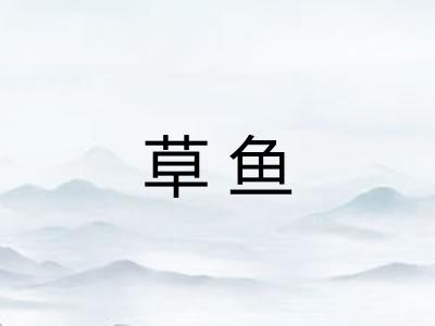 草鱼 草鱼