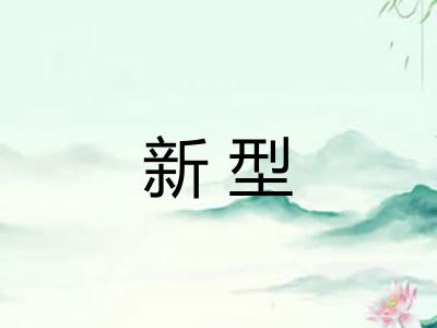 新型
