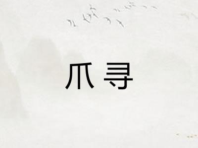 爪寻 爪寻