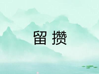 留攒
