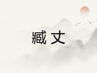 臧丈