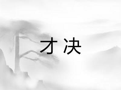 才决
