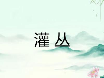 灌丛