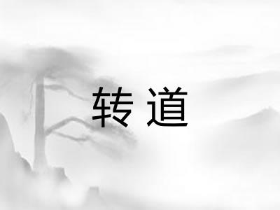 转道 转道