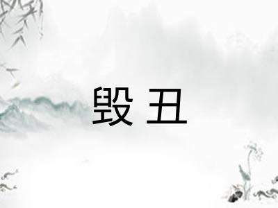 毁丑