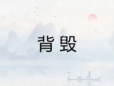 背毁