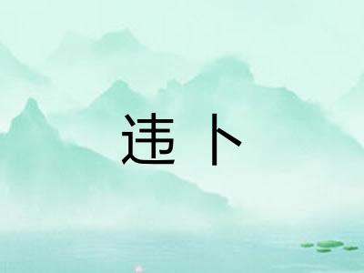 违卜 违卜