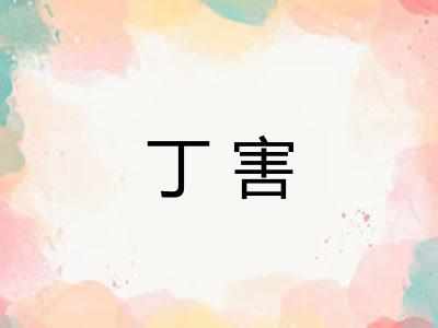 丁害 丁害