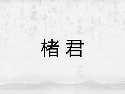 楮君