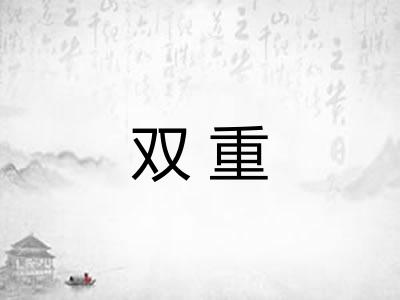 双重