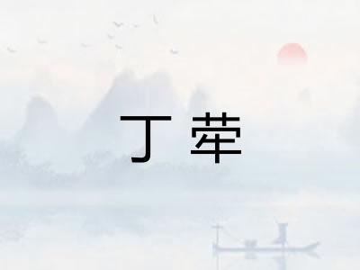 丁荦