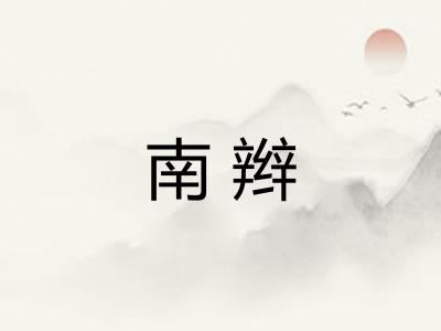 南辫