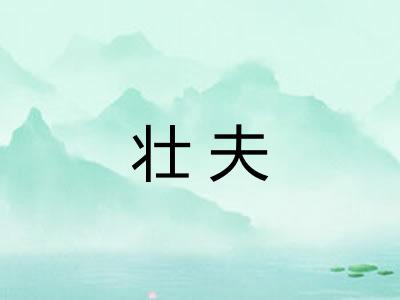 壮夫 壮夫