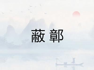 蔽鄣