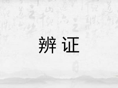 辨证