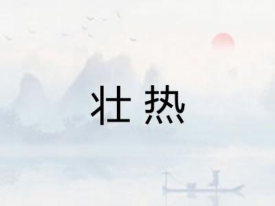 壮热