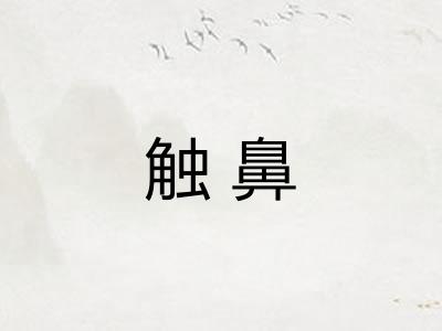触鼻 触鼻