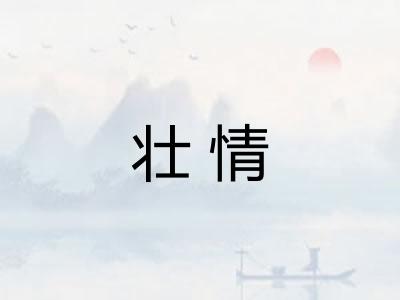 壮情 壮情