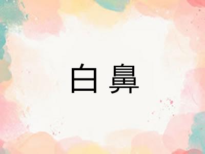 白鼻