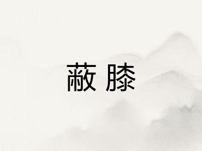 蔽膝