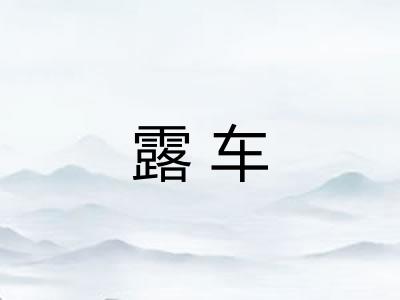 露车