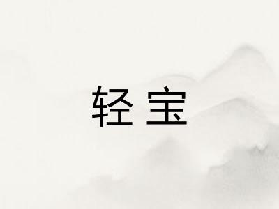 轻宝 轻宝
