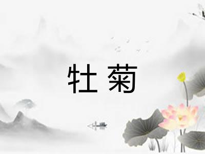 牡菊 牡菊