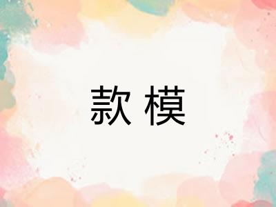 款模