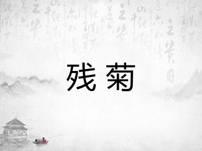 残菊 残菊