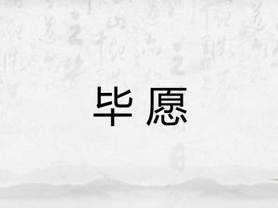 毕愿 毕愿