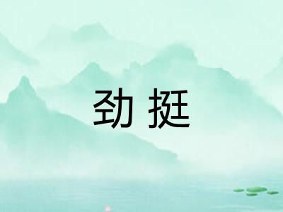 劲挺 劲挺
