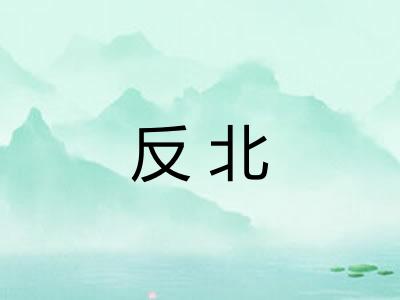 反北