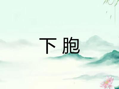 下胞 下胞