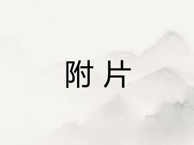 附片